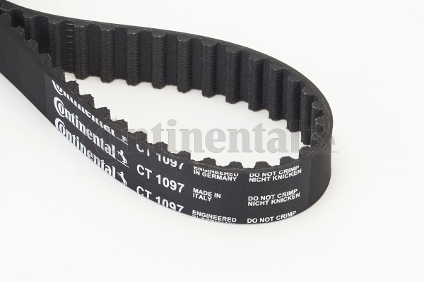 Timing Belt